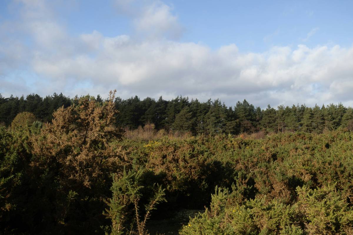 Nature Preservation Guides: 7 Proven Tips to Avoid Costly Mistakes on Your Next E-Bike Tour