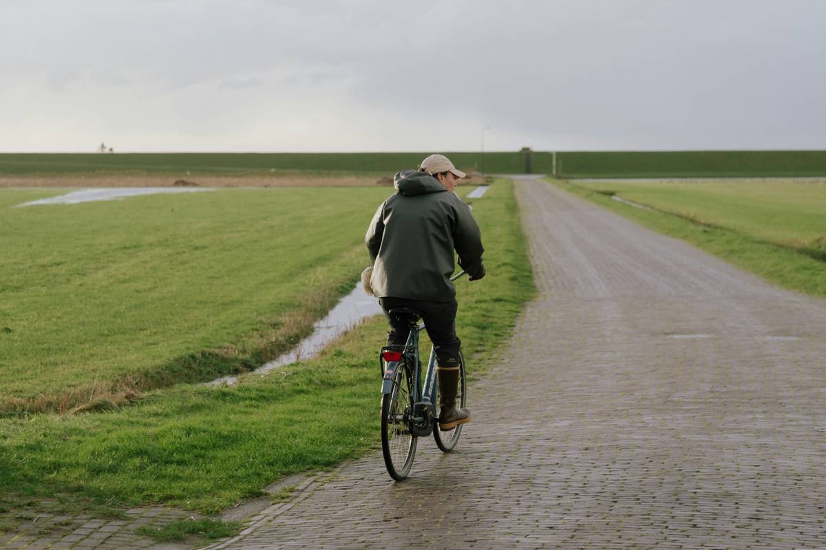 sustainable bike ride through pine forest with rider wearing helmet and following marked trail