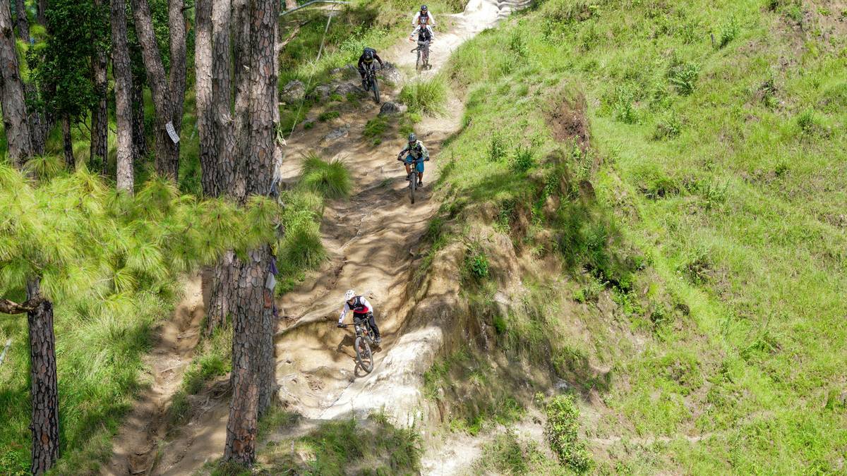 Group enjoying a mountain pedal tour on forest trail with e-bikes