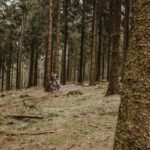Mountain Ebike Ride: 7 Proven Tips to Avoid Costly Mistakes