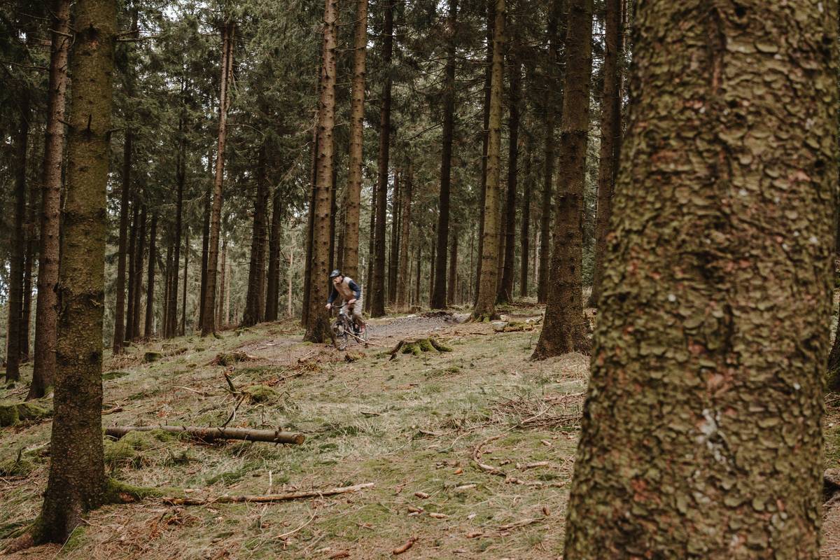 Mountain Ebike Ride: 7 Proven Tips to Avoid Costly Mistakes